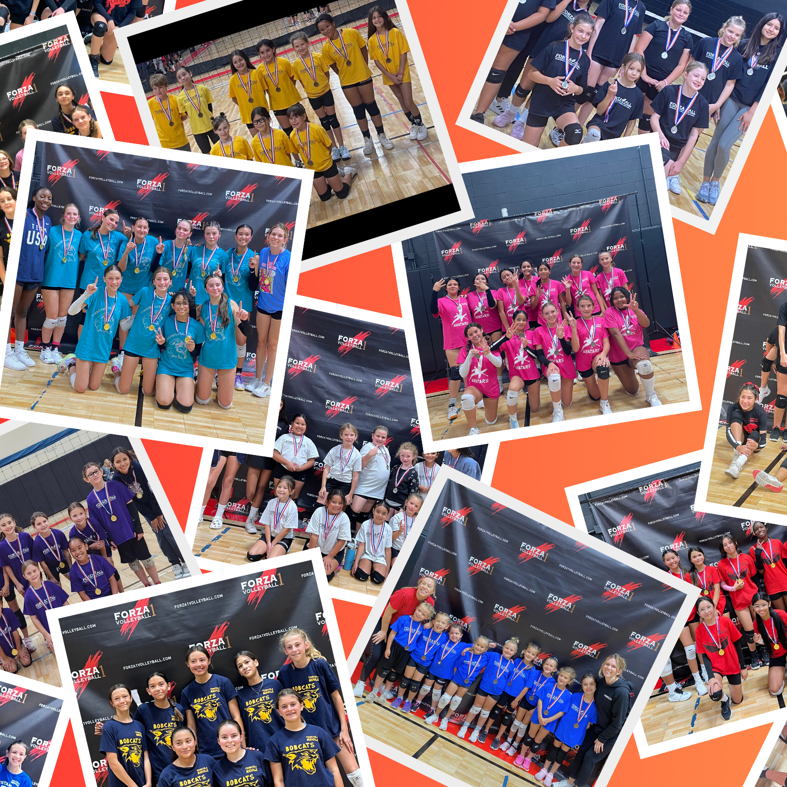 Donation Collage